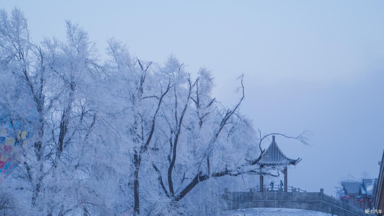 老年|在寂静雪原 遇见雪花真实的形状