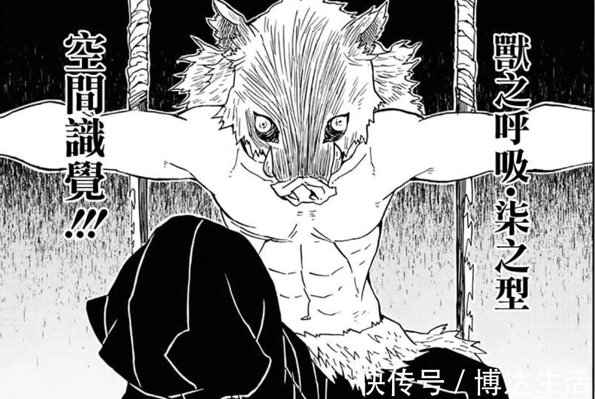 伊之助|鬼灭之刃有着女性外貌,和男子汉性格的人气角色,嘴平伊之助