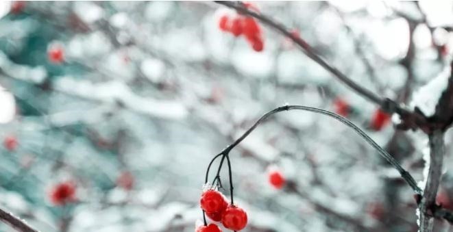 柳宗元$古诗里最孤独的10首诗,每一首都无比孤独,把孤独写到了极致