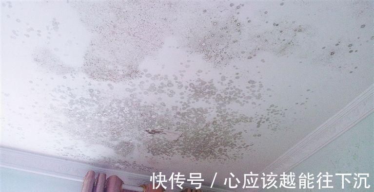 二手房|为什么有钱人都不愿意买二手房?一听内行人说,我就懊悔察觉晚了