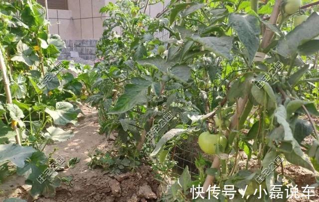 图纸|别拿一层不当别墅!5个真实案例,告诉你在农村建一层别墅有多爽