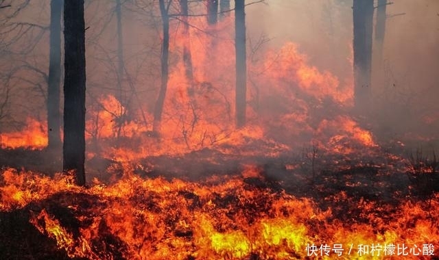 假如地球上氧气浓度增加一倍，地球变成什么样？科学家给出了答案