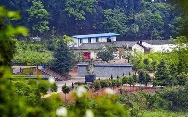 南宋|此家族为一人守墓, 现在已经八百多年, 后代依然会坚持下去