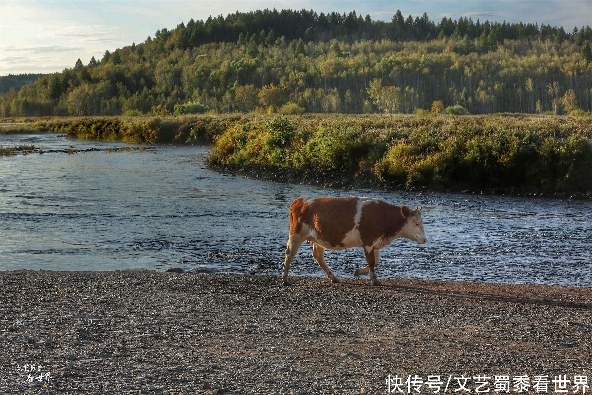 阿木古郎|中国有一条独一无二的河流，流域美如画，流出国境最后又转了回来