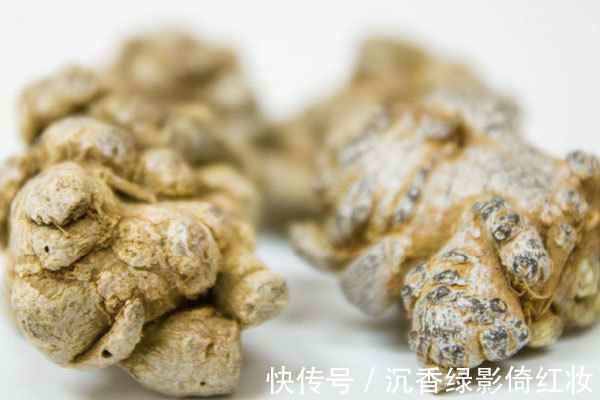 过敏|高血压患者,到底能不能吃三七粉在几种情况下要注意点比较好