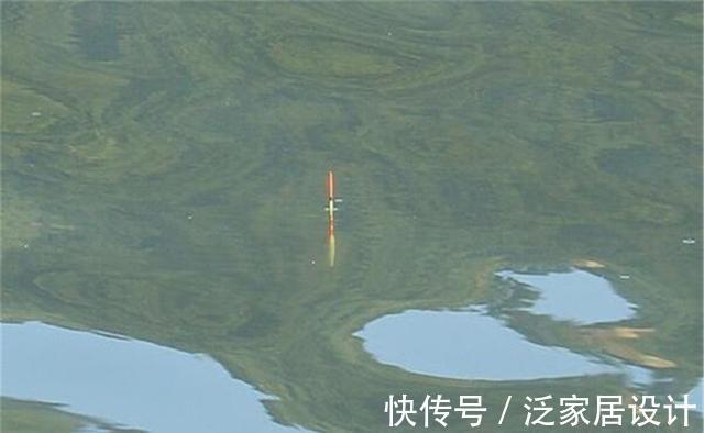 钩饵|顿口是钩饵正在鱼口中,顶漂是鱼在抬头,浮漂晃动是什么漂相?