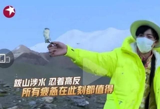 嘉賓|出了事就甩鍋嘉賓，難怪從一流節目做成了三流