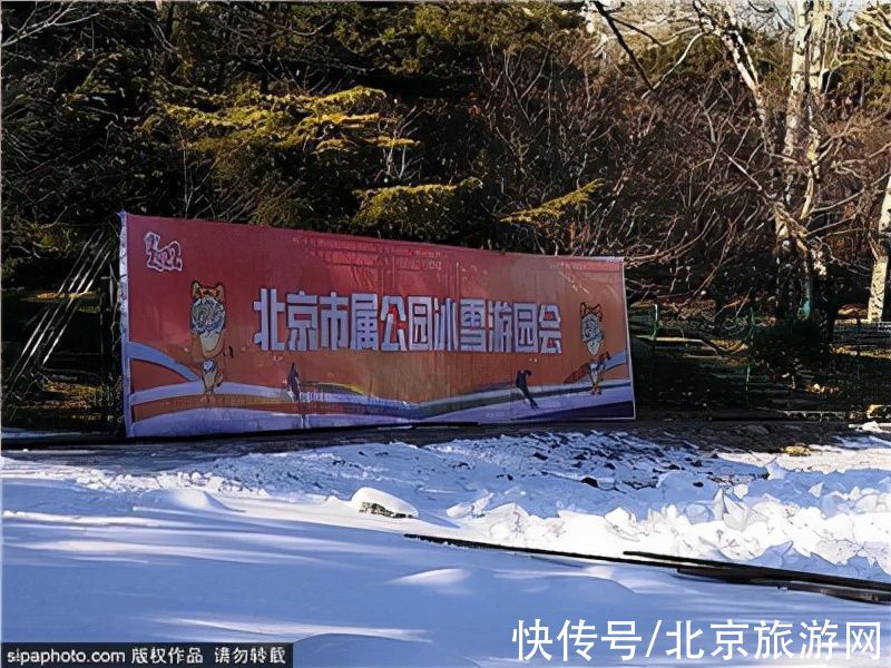 冰雪|元旦送福利！新年第一缕阳光！假期去这些地方享受冰雪的快乐！