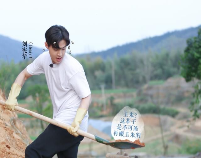 杨紫|最懒客人齐聚《向往5》，黄磊张艺兴早有对策，不愧是狐狸师徒