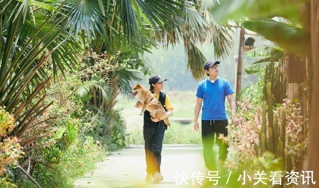 婦女主任|《向往的生活》一根玉米見人品，何炅的美好，對所有人，包括農(nóng)民