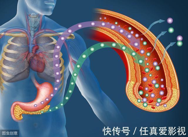 葡萄糖|无论增肌还是减脂,都需要知道的关键点:胰岛素敏感性