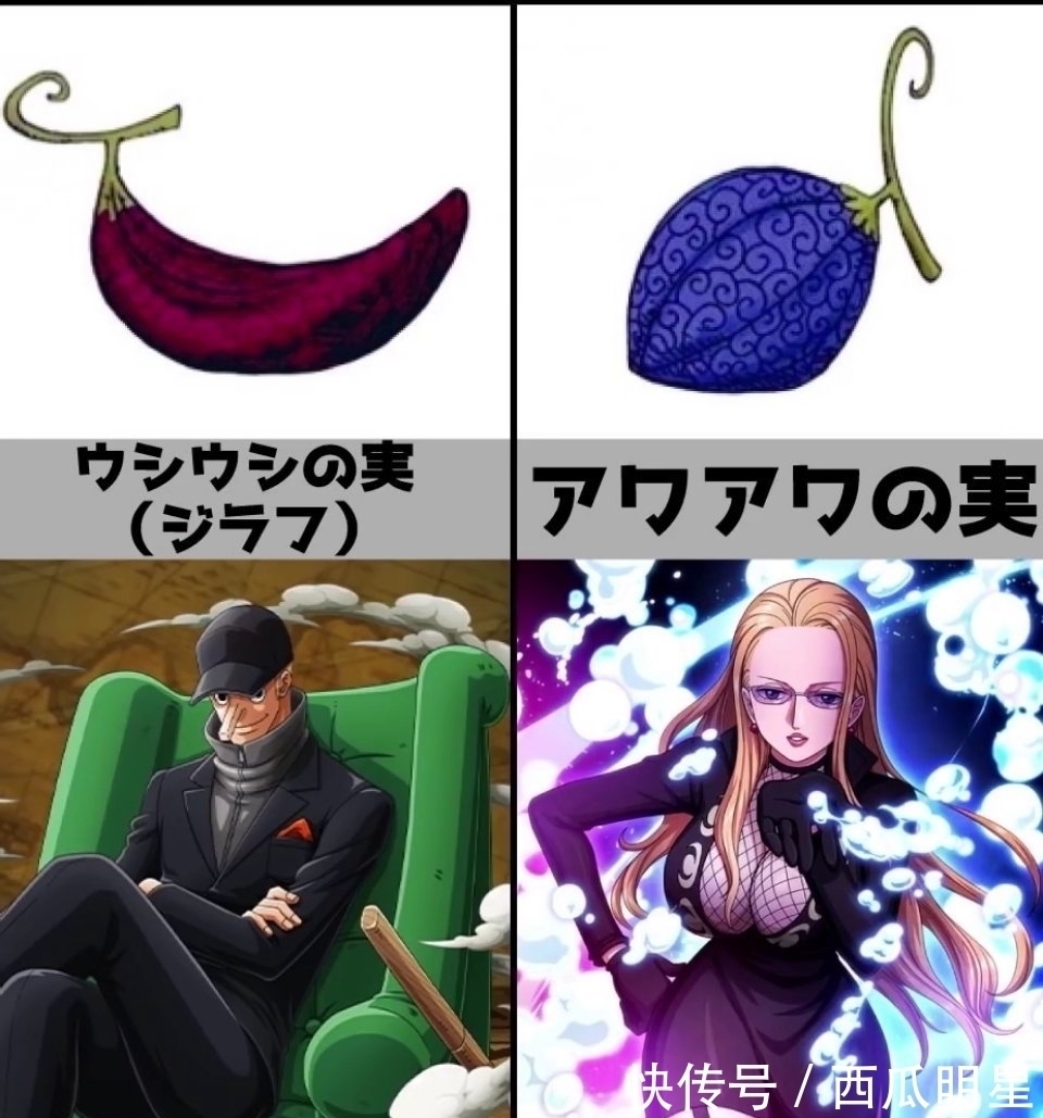 果实|《海贼王》恶魔果实,你最想拥有哪种?花花果实最漂亮
