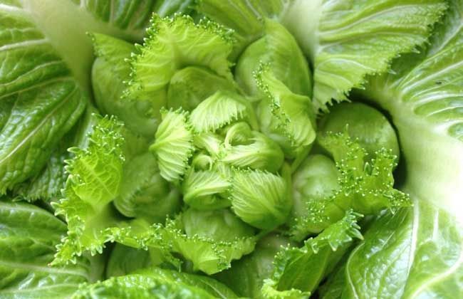 补充营养|女性不想太老,多吃4种食物,提亮肤色,改善肤质,淡化皱纹