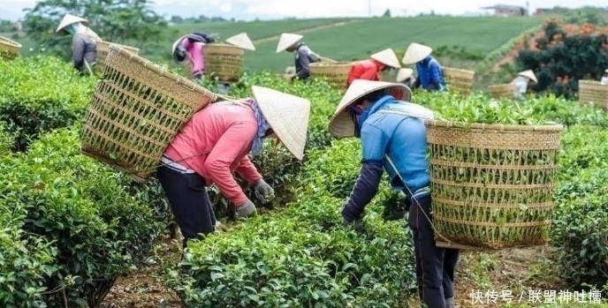 非卖品$库存几十万吨,曾一斤上万元,如今为何“连买带送”都没人要?