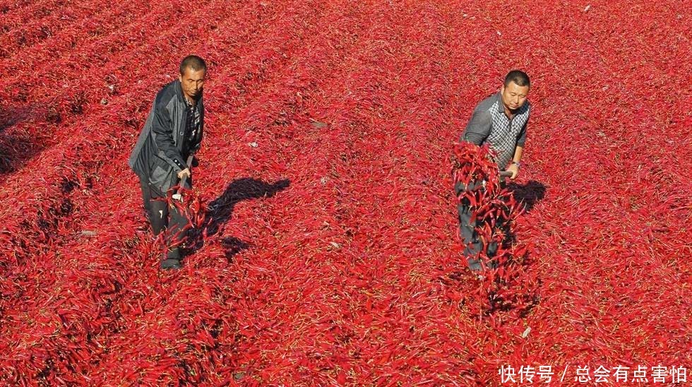  特别喜欢吃|六个最能吃辣的省份，第一是当仁不让，最后一个让人意想不到！