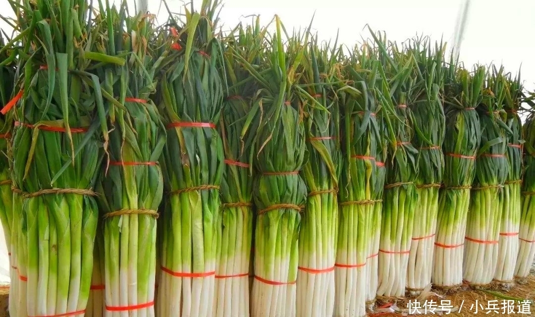 明年|楼房冬天咋保存大葱？教你1妙招，吃到明年春天都不空心、不烂心