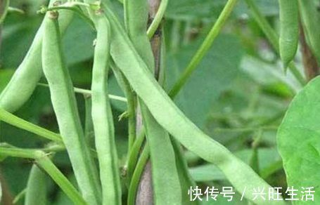 美白|女性到了中年，常吃的食物，补血养气，美白护肤，提亮肤色