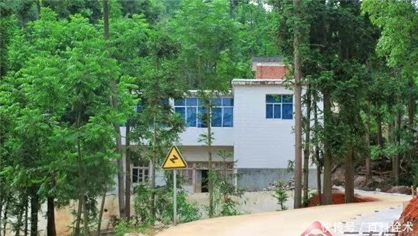 云南罗平:旅游+打造乡村振兴示范点