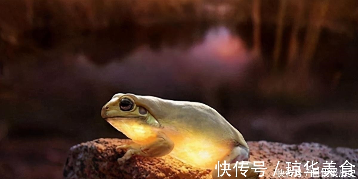 景象|辛弃疾一首《西江月》,写出了乡村夏日夜晚景象,农村孩子都见过