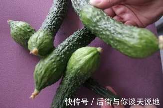 诡异|诡异的胡萝卜(外一篇)