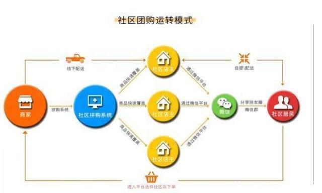 浙江秀洲：统战聚能 绘就富村强民好“丰”