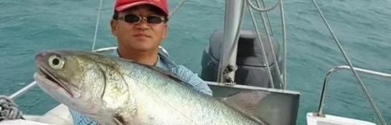 这鱼中国独有,被冠为最好吃的海鱼,营养价值极高,却少有人知