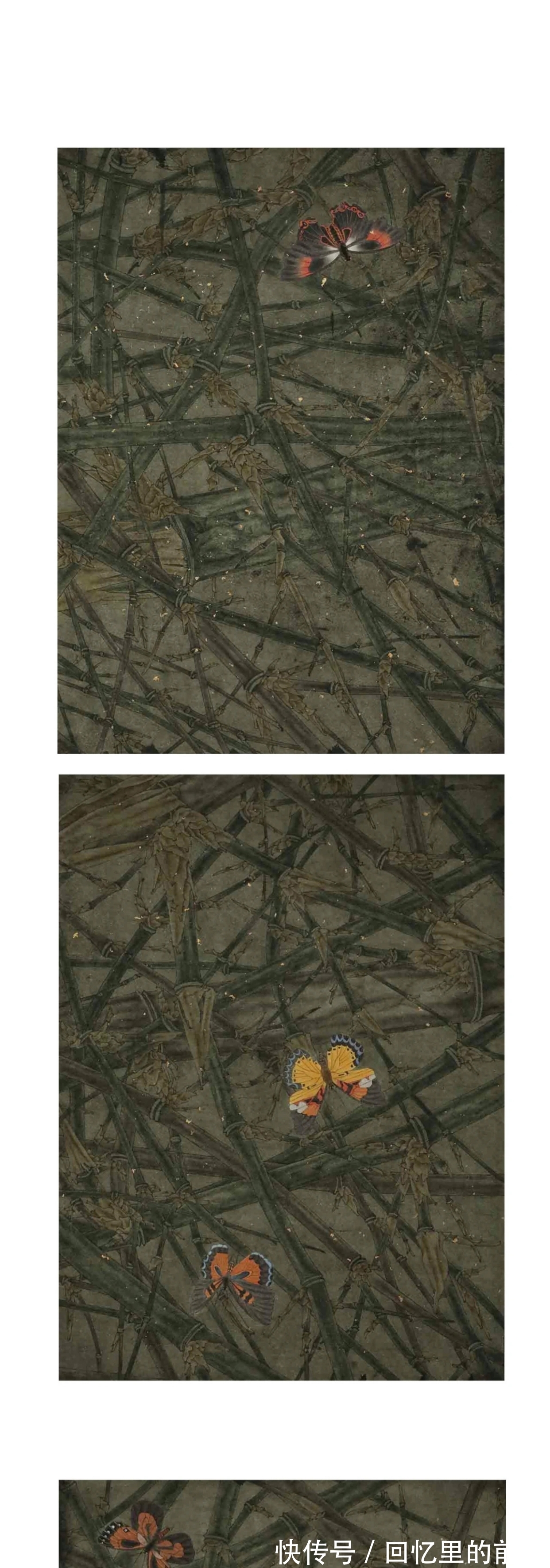 美术学院|刘祥当代花鸟画