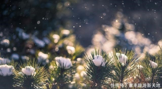 母子|在这3个“时间”出生的孩子,说明母子俩都有“福”,你家是吗