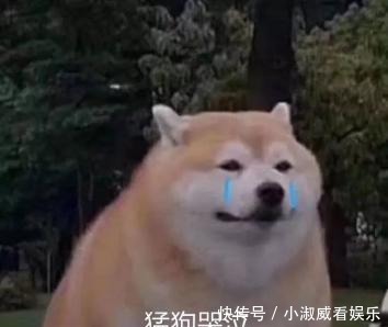 角质层|皮肤“外油内干”还老爱长痘，怎么破？