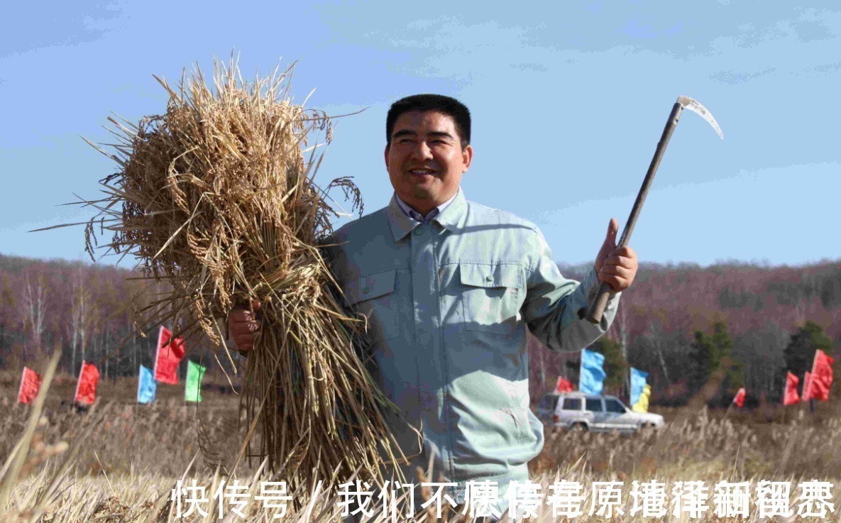 中国首善|用5000枚镜子聚光的能力到底有多强？看完这个铁片下场你就懂了！