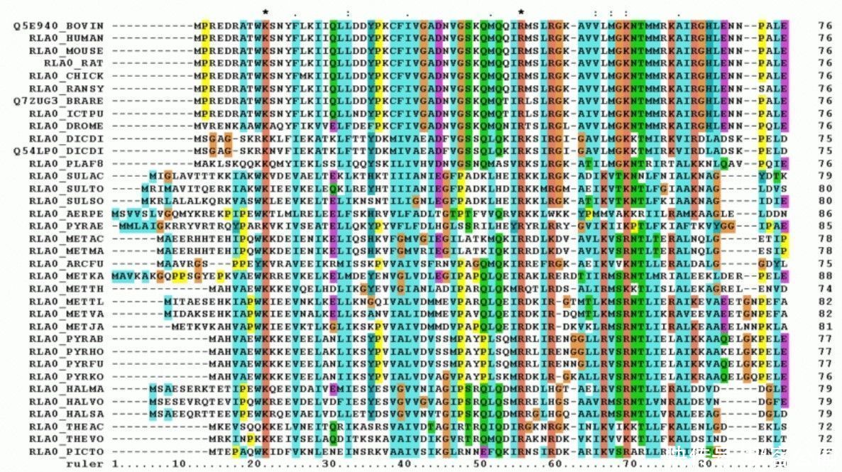 人类|人类生物学的大突破，就这样被 AI 做到了