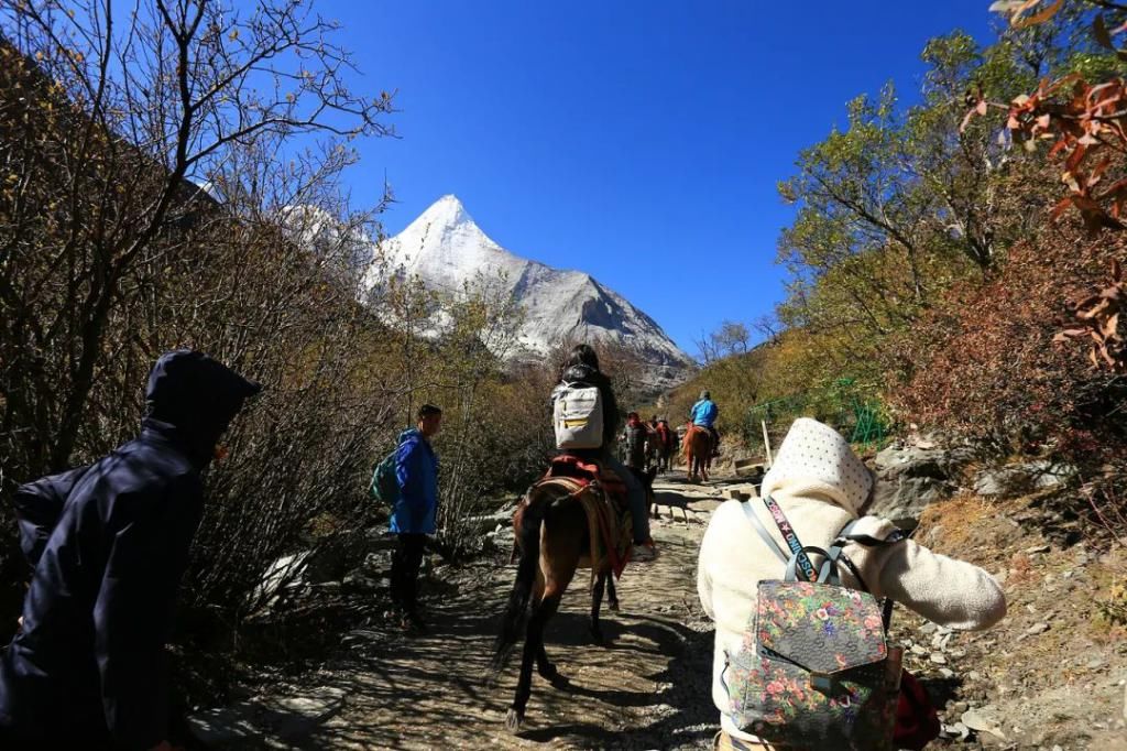 高原|高原有毒，你会上瘾！勇闯稻城亚丁，人生第一次看到雪山......