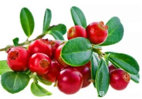 排毒养颜|女性养生,不妨多吃4种食物,排毒养颜、美容养颜、滋补身体