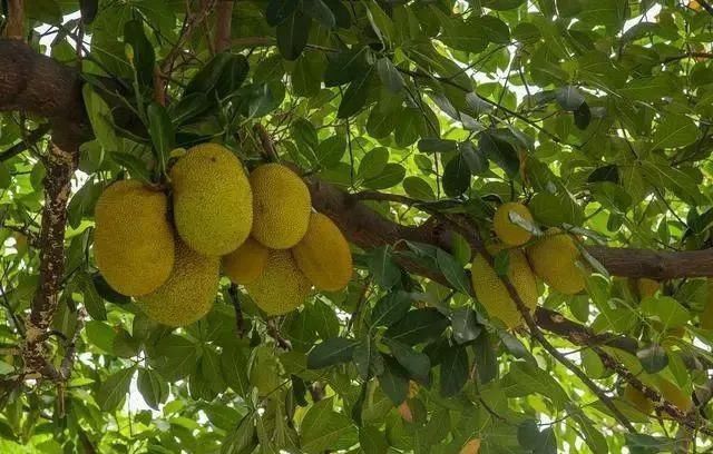 减肥的人,晚上坚持2个“不要”,常喝1水,体重或许稳稳降