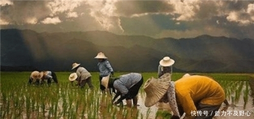 盘中价是什么意思