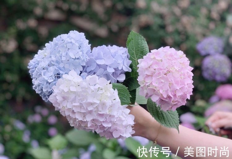 庭院改造:50㎡的下沉式庭院造花园,有地我也建一个,太好看了!