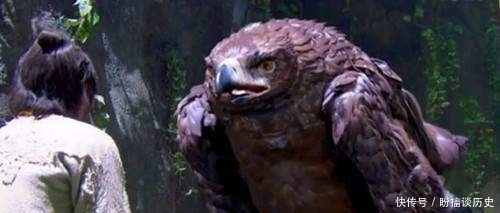 活过|独孤求败死后神雕还等到了杨过,它还能活过杨过吗?郭襄知道答案!