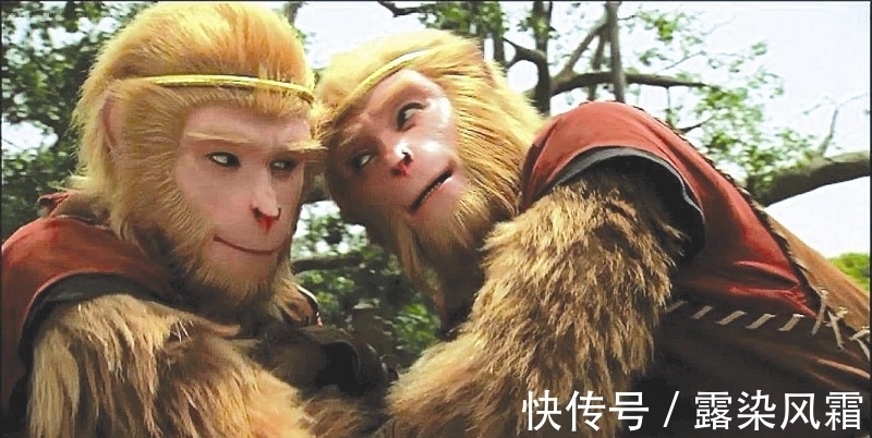 美猴王#真假美猴王中,谛听为何不直接揭穿假猴子?这背后真的有猫腻吗?