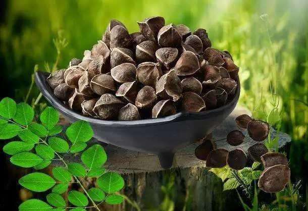 植物神经紊乱|5种天然“安眠药”,睡前吃一口,摆脱失眠困扰,一觉到天亮