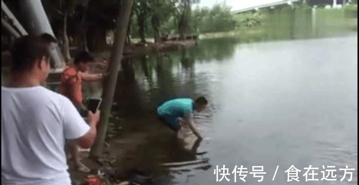 甲鱼|男子河边钓鱼, 接下来钓上来的一个庞然大物,让人直呼赚大了