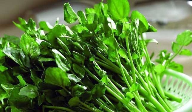 三月养肝正当时,隔三差五吃一次,排出毒素,肝脏越来越健康