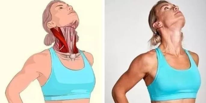 强身健体|全身拉筋3D图解，一步到位，在家也能强身健体