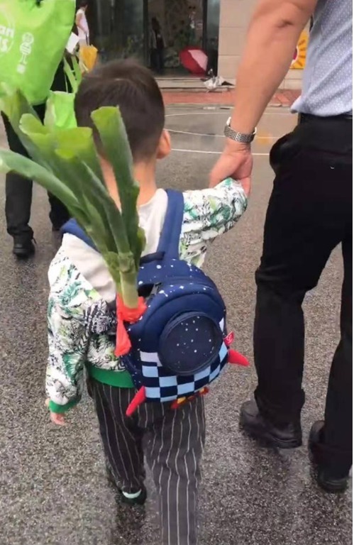 学校|孙子第一天上学,爷爷让孙子带葱去学校,网友:我跟清华就差根葱