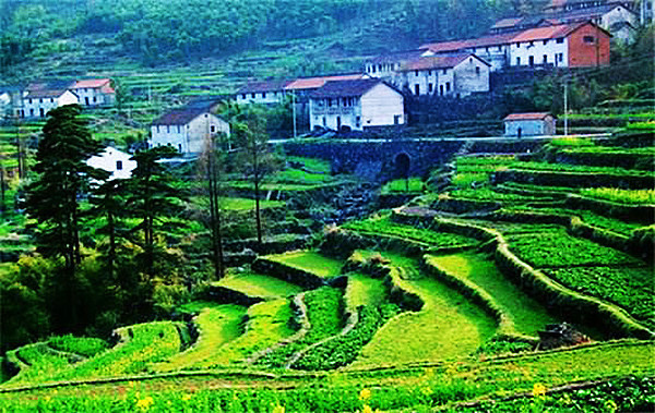 打工|农民该不该去城里买房子?