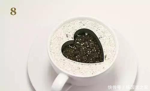 发芽的胡萝卜,吃剩的水果核都别扔,一周让家里长满绿植