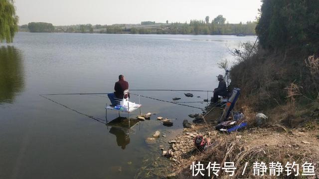 鲫鱼|有人喜欢有人烦!大力马线钓鲫鱼,野钓时到底能不能用?