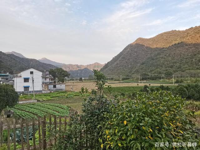 《七绝.初冬印象》霜染苍茫已入冬,枝条飞叶落无穷