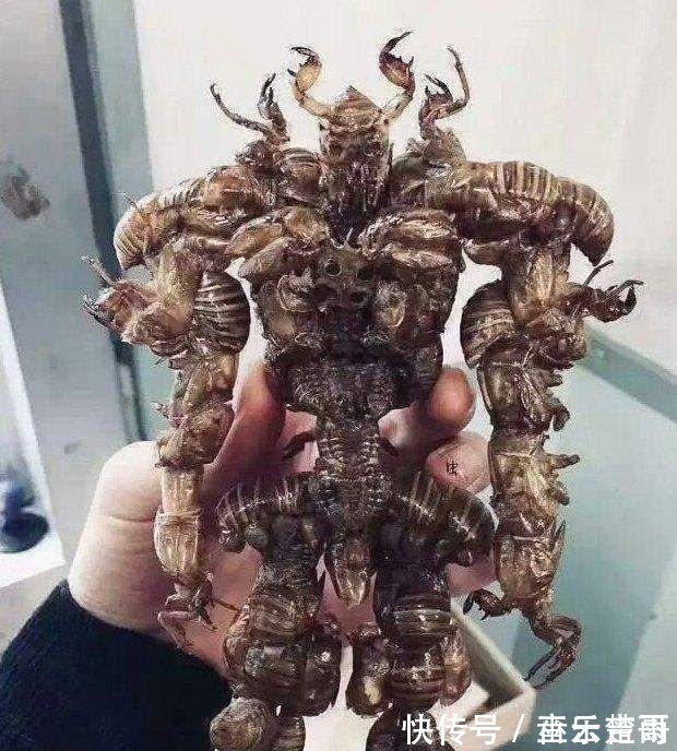 手办|零食盒、食物残骸也能变成手办?当它们落入大神手中,奇迹发生了