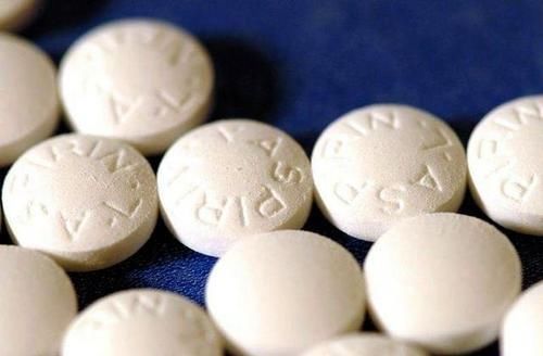 满处|虎皮兰盆里放2种东西,小芽满处钻,叶子坚硬还翠绿