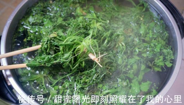 荠菜|这菜只有这个季节有,营养价值丰富,多弄一点囤起来,吃不够!